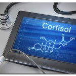 Chris Kresser Cortisol