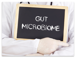 gut-microbiome